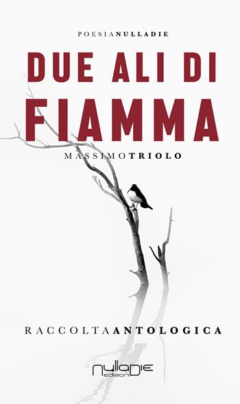 Due ali di fiamma - Massimo Triolo - Libro Nulla Die 2020, Parva res. Le poesie | Libraccio.it