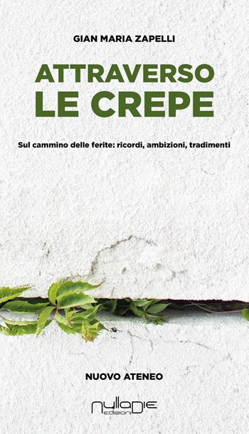 Attraverso le crepe. Sul cammino delle ferite: ricordi, ambizioni, tradimenti - Gian Maria Zapelli - Libro Nulla Die 2024, Nuovo Ateneo. Ergo | Libraccio.it