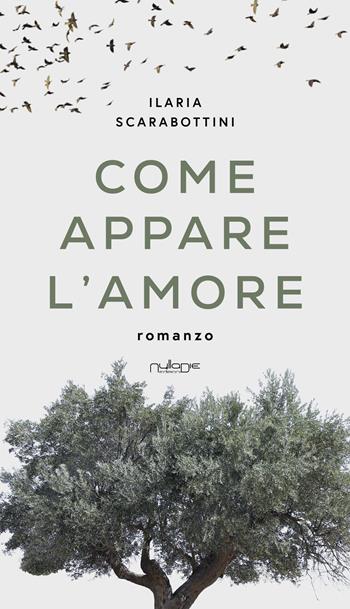 Come appare l'amore - Ilaria Scarabottini - Libro Nulla Die 2026, Parva res. I romanzi | Libraccio.it