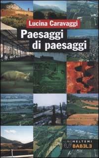 Paesaggi di paesaggi - Lucina Caravaggi - Libro Booklet Milano 2002, Babele | Libraccio.it