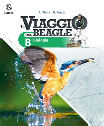 Il viaggio del beagle. Per la Scuola media. Vol. A-B-C-D: Chimica, Fisica-Biologia-Corpo umano-Scienze della Terra. Astronomia - Antonella Pietra, Beatrice Perotti - Libro Lattes 2023 | Libraccio.it