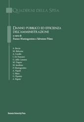 Danno pubblico ed efficienza dell'amministrazione