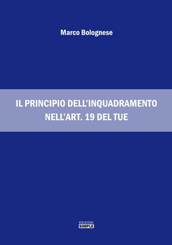 Il principio dell'inquadramento nell'art. 19 del TUE - Marco Bolognese - Libro Simple 2019 | Libraccio.it