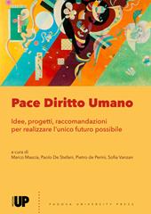 Pace diritto umano. Idee, progetti e raccomandazioni per realizzare l'unico futuro possibile