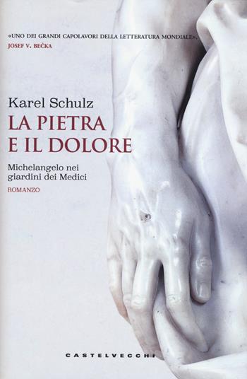 La pietra e il dolore. Michelangelo nei giardini dei Medici - Karel Schulz - Libro Castelvecchi 2017, Le monete | Libraccio.it