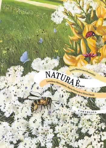 Natura è... - Possentini, Mercadante - Libro Carthusia 2025, Che viaggi! | Libraccio.it