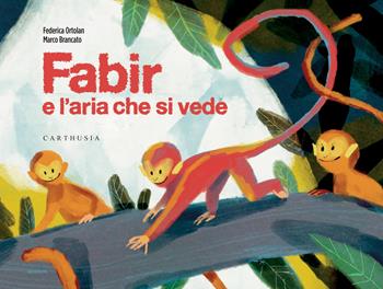 Fabir e l'aria che si vede. Ediz. a colori - Federica Ortolan - Libro Carthusia 2025, Trovati e ritrovati | Libraccio.it