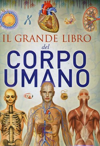 Il grande libro del corpo umano  - Libro Chiara Edizioni 2016 | Libraccio.it