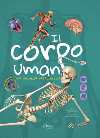 Il corpo umano. Una macchina meravigliosa - Gisela Socolovsky, Gisela Socolovsky - Libro Chiara Edizioni 2020 | Libraccio.it