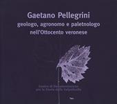 Gaetano Pellegrini geologo, agronomo e paletnologo nell'Ottocento veronese. Atti del Convegno