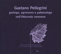 Gaetano Pellegrini geologo, agronomo e paletnologo nell'Ottocento veronese. Atti del Convegno  - Libro Editrice La Grafica 2006 | Libraccio.it