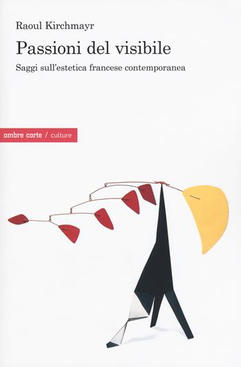 Passioni del visibile. Saggi sull'estetica francese contemporanea - Raoul Kirchmayr - Libro Ombre Corte 2018, Culture | Libraccio.it