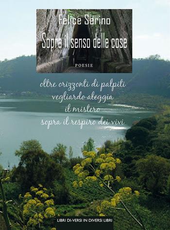 Sopra il senso delle cose - Felice Serino - Libro Libreria Editrice Urso 2021, Araba Fenice. Collana di poesia | Libraccio.it