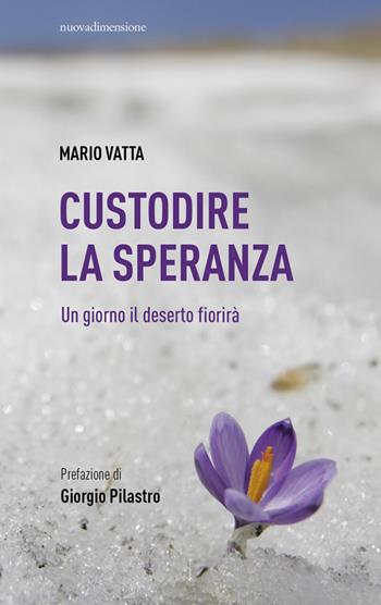 Custodire la speranza. Un giorno il deserto fiorirà - Mario Vatta - Libro nuovadimensione 2023, Finestre | Libraccio.it