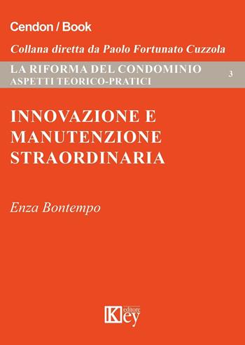 Innovazione e manutenzione straordinaria. Analisi degli aspetti teorico-pratici - Enza Bontempo - Libro Key Editore 2016 | Libraccio.it