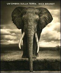 Un' ombra sulla terra - Nick Brandt, Peter Singer, Vicki Goldberg - Libro Contrasto 2009 | Libraccio.it