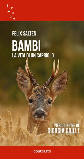Bambi. La vita di un capriolo - Felix Salten - Libro Contrasto 2022, Tracce | Libraccio.it
