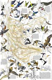 Migrazioni degli uccelli. Eurasia, Africa e Oceania. Carta murale. Ediz. inglese