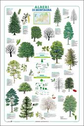 Alberi. Geoposter