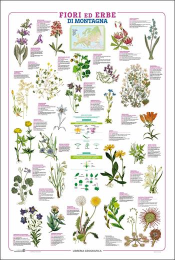 Fiori. Geoposter  - Libro Libreria Geografica 2018, Geoposter | Libraccio.it