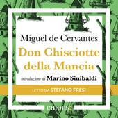 Libraccio Don Chisciotte della Mancia (audiolibro)