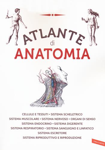 Atlante di anatomia. Ediz. a colori  - Libro Vallardi A. 2017 | Libraccio.it