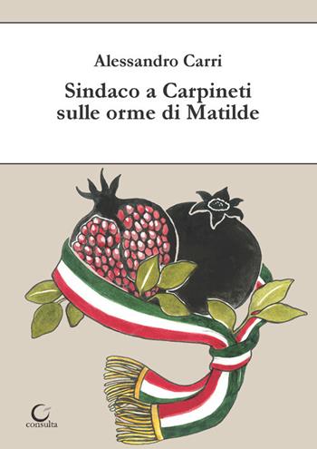 Sindaco a Carpineti sulle orme di Matilde - Alessandro Carri - Libro Consulta Librieprogetti 2023 | Libraccio.it