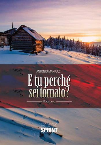 E tu perché sei tornato? - Antonio Martucci - Libro BooksprintEdizioni 2015 | Libraccio.it