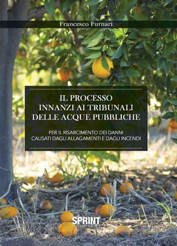 Il processo innanzi ai tribunali delle acque pubbliche per il risarcimento dei danni causati dagli allagamenti e dagli incendi - Francesco Furnari - Libro BooksprintEdizioni 2016 | Libraccio.it