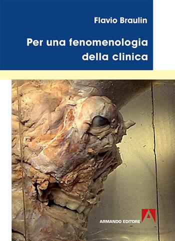 Per una fenomenologia della clinica - Flavio Braulin - Libro Armando Editore 2016, Medicina oggi | Libraccio.it