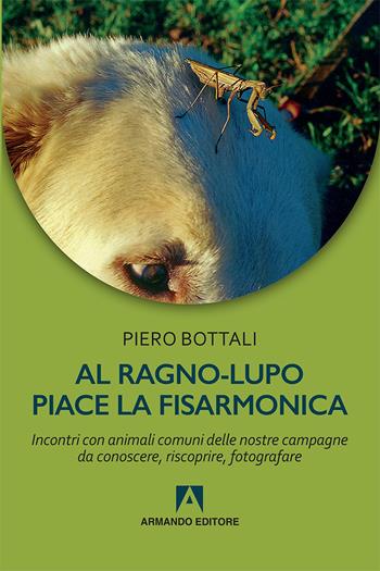 Al ragno-lupo piace la fisarmonica. Incontri con animali comuni delle nostre campagne da conoscere, riscoprire, fotografare - Piero Bottali - Libro Armando Editore 2018, Scaffale aperto | Libraccio.it