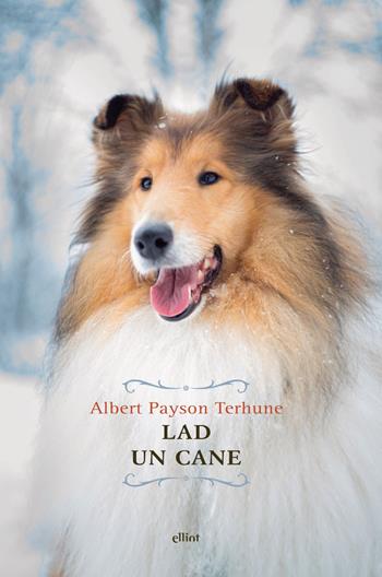 Lad. Un cane - Albert Payson Terhune - Libro Elliot 2018, Raggi | Libraccio.it
