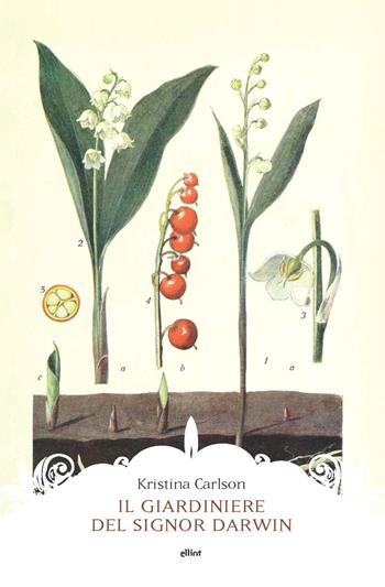 Il giardiniere del signor Darwin - Kristina Carlson - Libro Elliot 2020, Manubri | Libraccio.it