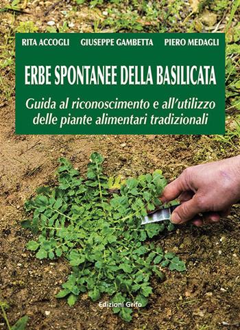 Erbe spontanee della Basilicata. Guida al riconoscimento e all'utilizzo delle piante alimentari tradizionali - Rita Accogli, Giuseppe Gambetta, Piero Medagli - Libro Grifo (Cavallino) 2017 | Libraccio.it