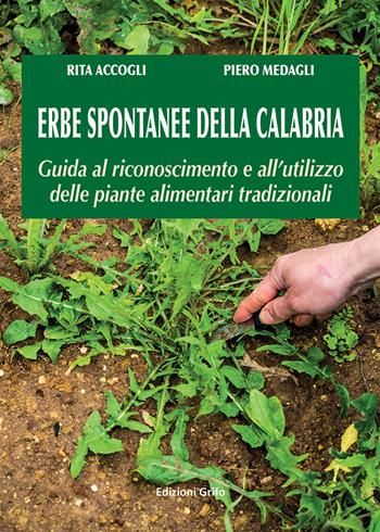 Erbe spontanee della Calabria. Guida al riconoscimento e all'utilizzo delle piante alimentari tradizionali - Rita Accogli, Piero Medagli - Libro Grifo (Cavallino) 2018 | Libraccio.it