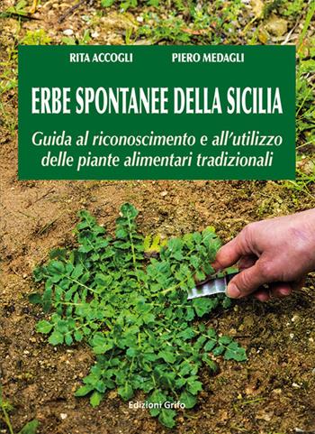 Erbe spontanne della Sicilia. Guida al riconoscimento e all'utilizzo delle piante alimentari tradizionali - Rita Accogli, Piero Medagli - Libro Grifo (Cavallino) 2019 | Libraccio.it