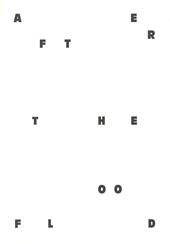 After the Flood. Images for disaster risk reduction. Ediz. italiana e inglese