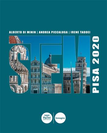 STEM. Pisa 2020. Ediz. illustrata - Alberto Di Minin, Andrea Piccaluga, Giuseppe Meucci - Libro Pacini Editore 2019, Immagine | Libraccio.it