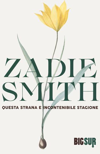 Questa strana e incontenibile stagione - Zadie Smith - Libro Sur 2020, BigSur | Libraccio.it