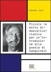 Piccolo (e molto didascalico) viatico per un'introduzione alla poesia di Sanguinetti - Fausto Curi - Libro Mucchi Editore 2013 | Libraccio.it