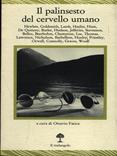 Il palinsesto del cervello umano  - Libro Il Nuovo Melangolo 1995, Lecturae | Libraccio.it