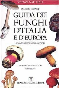 Guida dei funghi d'Italia e d'Europa - Massimo Pandolfi, Davide Ubaldi - Libro Franco Muzzio Editore 1997, Scienze naturali | Libraccio.it