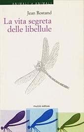 La vita segreta delle libellule