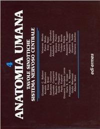 Anatomia umana. Tavole sinottiche  - Libro Edi. Ermes 1996 | Libraccio.it