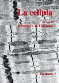 La cellula  - Libro Edi. Ermes 1999 | Libraccio.it