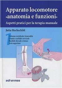 Apparato locomotore. Anatomia e funzioni. Aspetti pratici per la terapia manuale - Jutta Hochschild - Libro Edi. Ermes 2003 | Libraccio.it