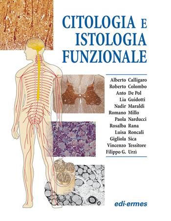 Citologia e istologia funzionale - Alberto Calligaro, Roberto Colombo, Anto De Pol - Libro Edi. Ermes 2005 | Libraccio.it