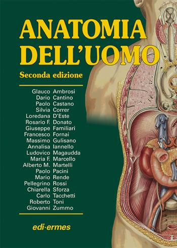 Anatomia dell'uomo  - Libro Edi. Ermes 2006 | Libraccio.it