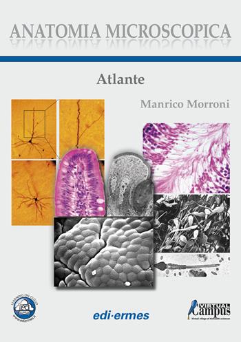 Anatomia microscopica. Atlante - Manrico Morroni - Libro Edi. Ermes 2014 | Libraccio.it