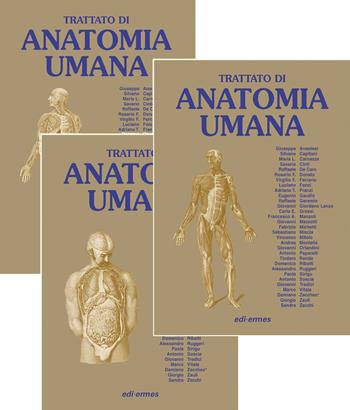 Anatomia umana. Trattato vol. 1-3  - Libro Edi. Ermes 2010 | Libraccio.it